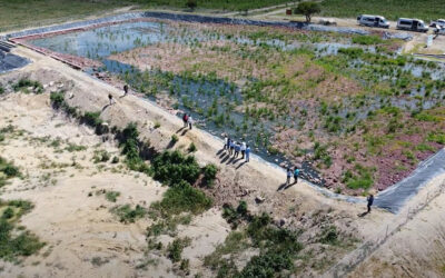 Empresa Diageo invertirá 100 mdp en proyectos para cuidado del agua en Jalisco