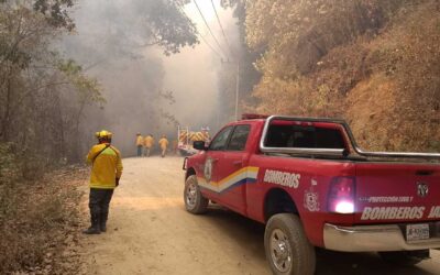 Reduce en Jalisco 44 % superficie afectada por incendios forestales y casi 30 % el número de incendios