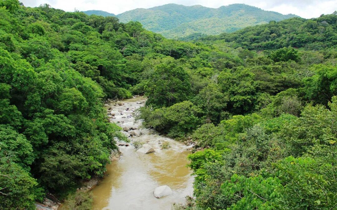 Jalisco cuenta con dos nuevas Áreas Naturales Protegidas: El Bajío y Sierra El Cuale