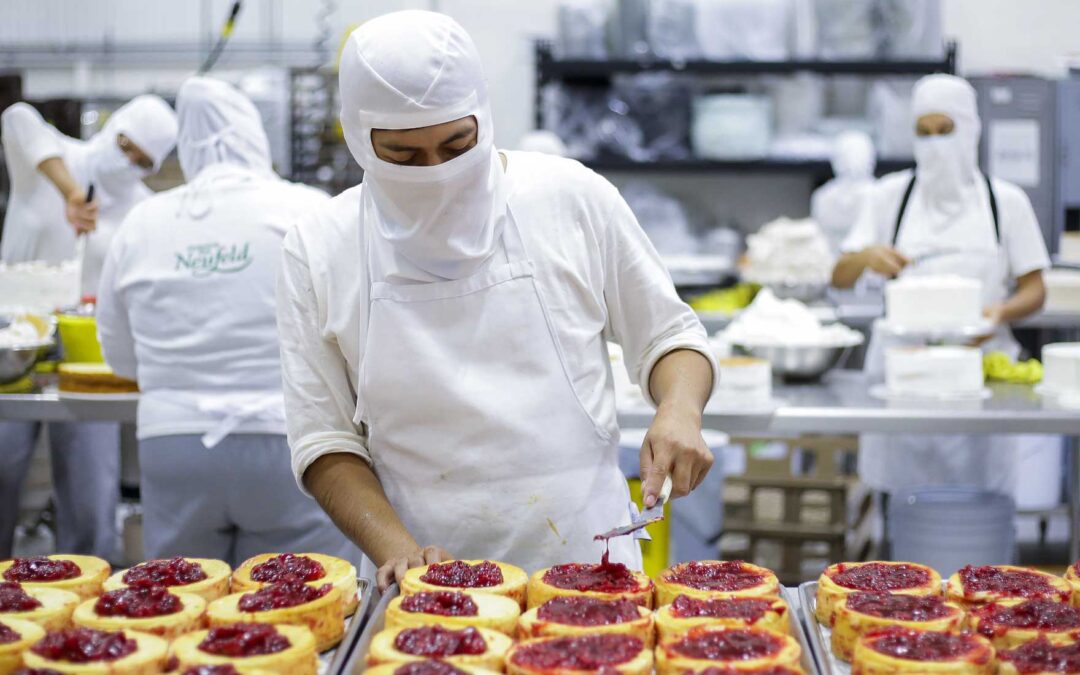 Con 1.69% de desocupación, Jalisco se posiciona como referente laboral en México