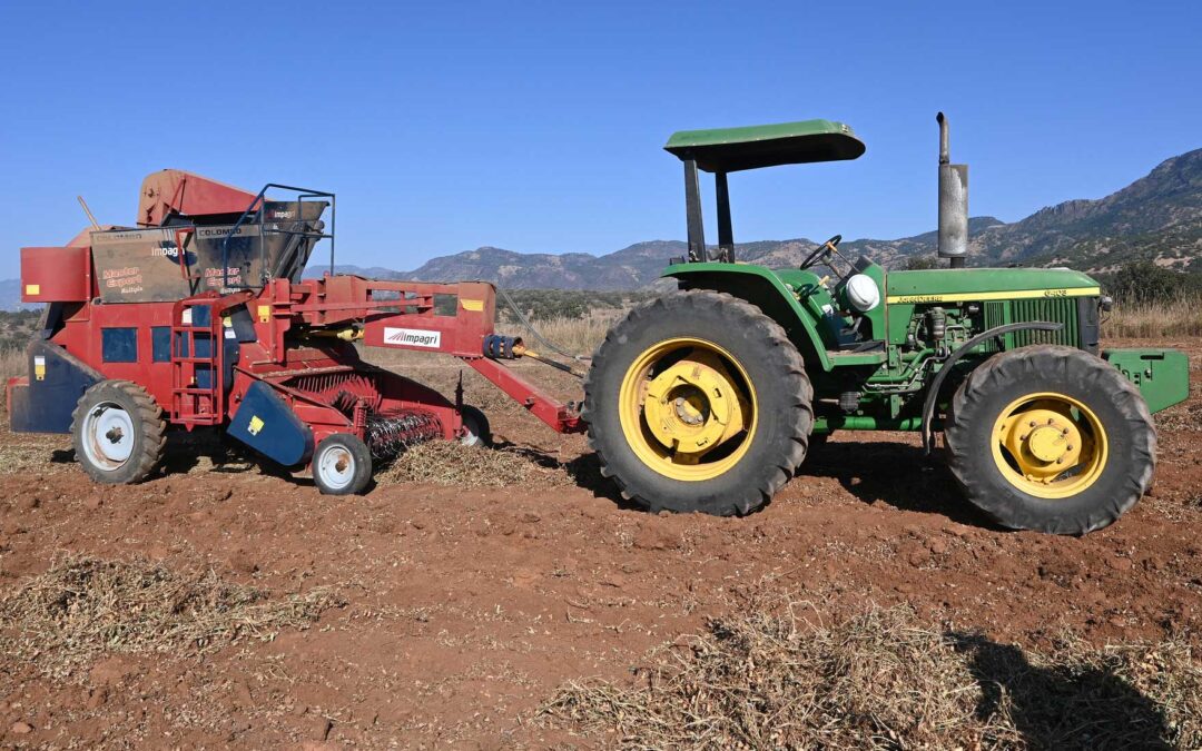Impulsa Sader Jalisco cultivos de cacahuate orgánico y nopal forrajero en la Región Norte del estado