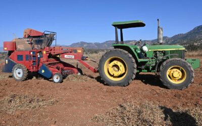 Impulsa Sader Jalisco cultivos de cacahuate orgánico y nopal forrajero en la Región Norte del estado