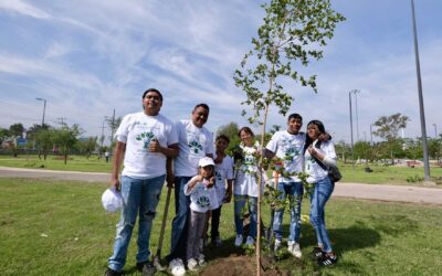 Reabre Parque Luis Quintanar a la ciudadanía; realizan reforestación