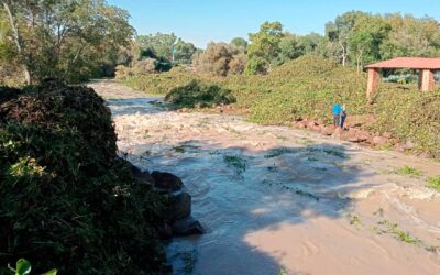 Realizan Gobierno de Jalisco y Arandas limpieza en la presa El Tule para garantizar su operación