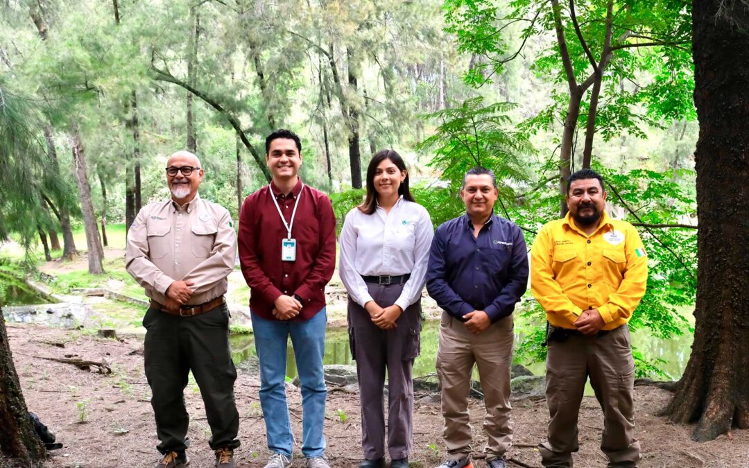 Supera Jalisco meta de reforestación 2025 con más de 160 mil árboles plantados