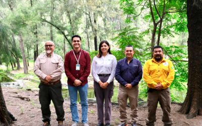 Supera Jalisco meta de reforestación 2025 con más de 160 mil árboles plantados