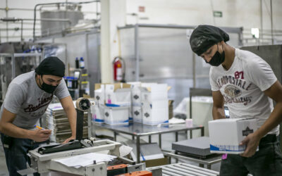 Jalisco se consolida entre los 10 estados con menor desempleo del país