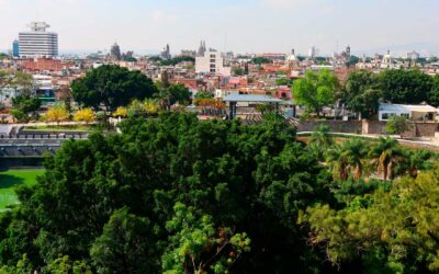 Avanza plan de reforestación; se han plantado más de 19 mil árboles en Guadalajara