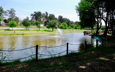 Informa AMBU horario especial del Parque Ávila Camacho para lo que resta de 2025