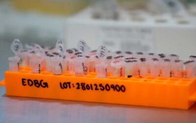 Atenderá IJCF en Unión de Tula a familias de personas desaparecidas para toma de muestras de ADN y entrevistas contextuales