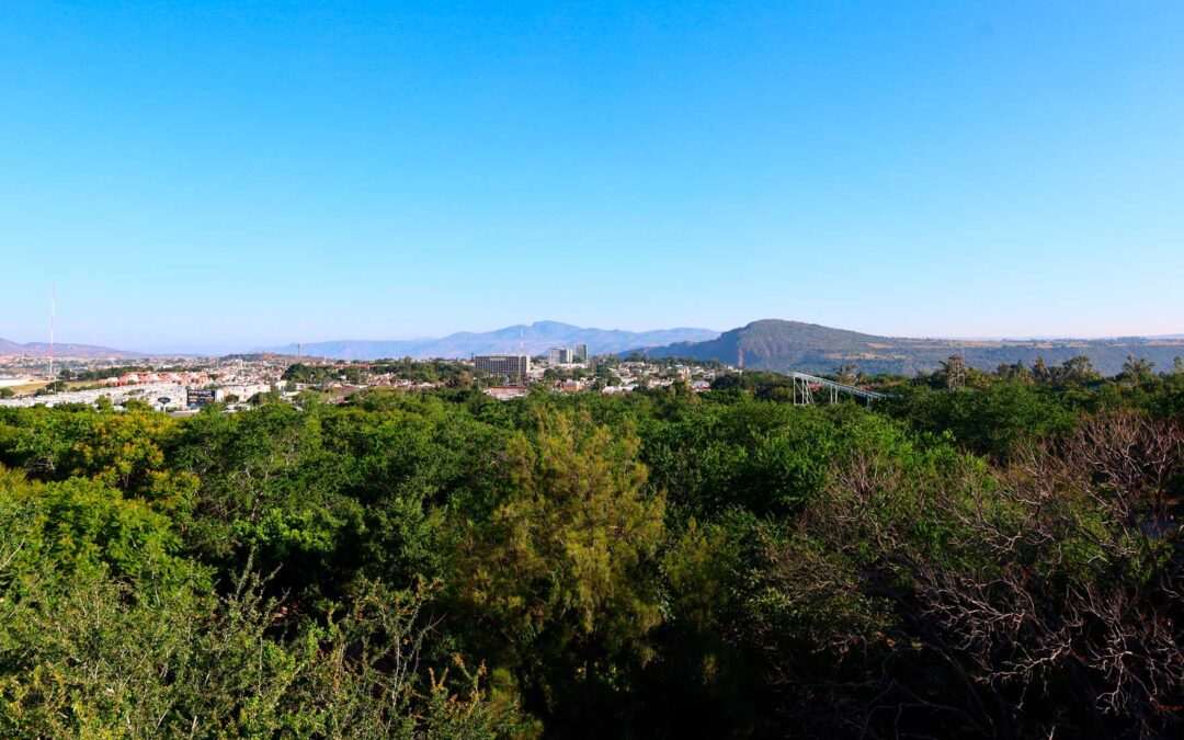 Libera AMBU de muérdago al Parque Natural Huentitán