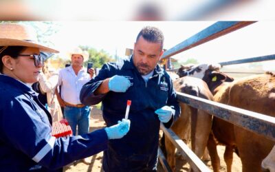 Confirma Jalisco ausencia de Gusano Barrenador del Ganado tras la detección de un solo caso en Encarnación de Díaz