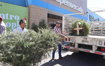 Tlajomulco impulsa recolección de árboles navideños para reducir impacto ambiental