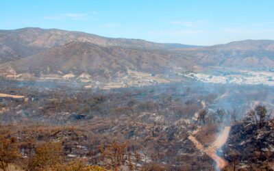 Tlajomulco supervisa condiciones de fauna silvestre tras incendio en La Primavera