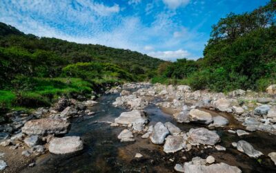 Celebra Bosque La Primavera 46 años como Área de Protección de Flora y Fauna