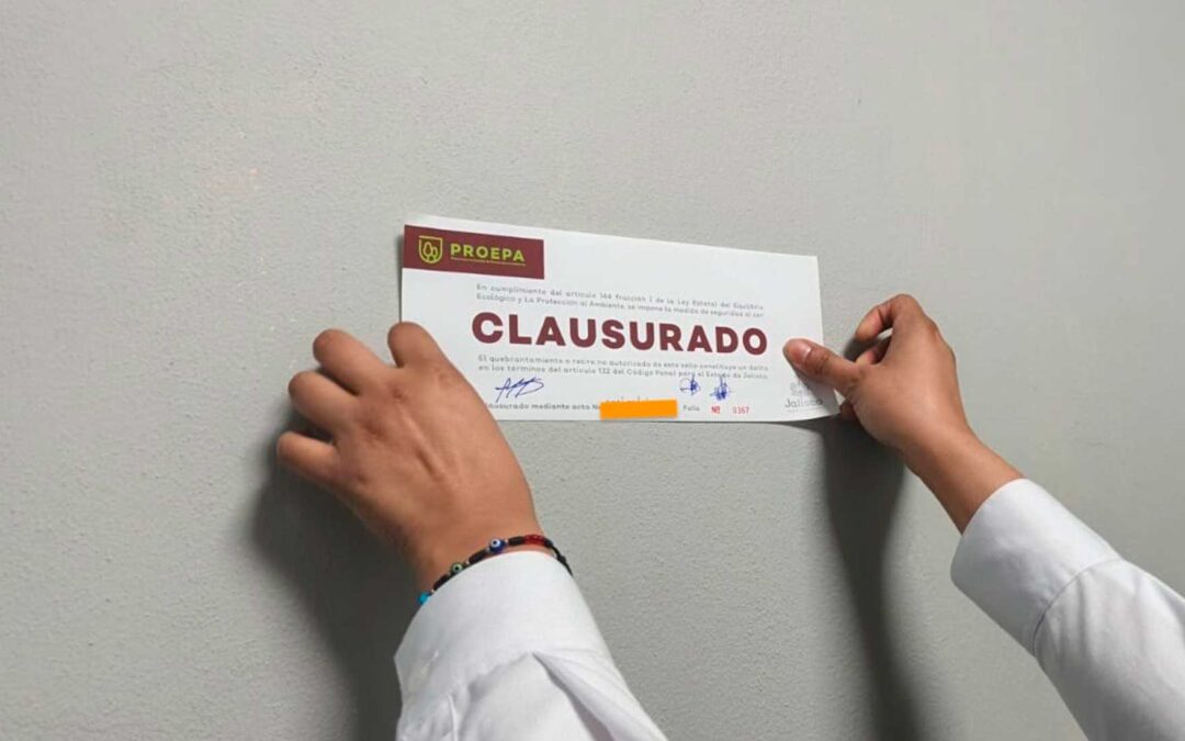Realiza PROEPA 133 visitas de inspección e impone 44 clausuras en primer trimestre de 2026