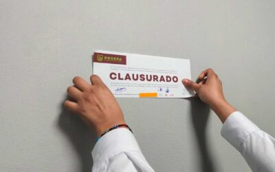 Realiza PROEPA 133 visitas de inspección e impone 44 clausuras en primer trimestre de 2026