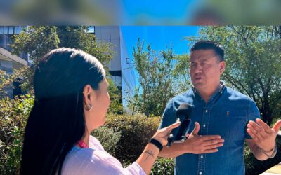Zapopan refuerza acciones preventivas en arbolado previo al temporal de lluvias