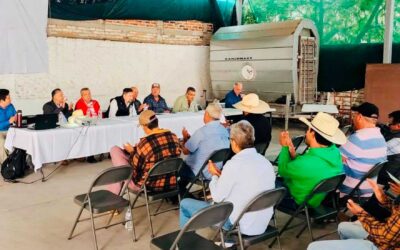 Tlajomulco fortalece acciones preventivas contra el gusano barrenador