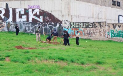 Realiza COBUPEJ segunda búsqueda experimental sustentada en patrones del entorno y análisis de contexto