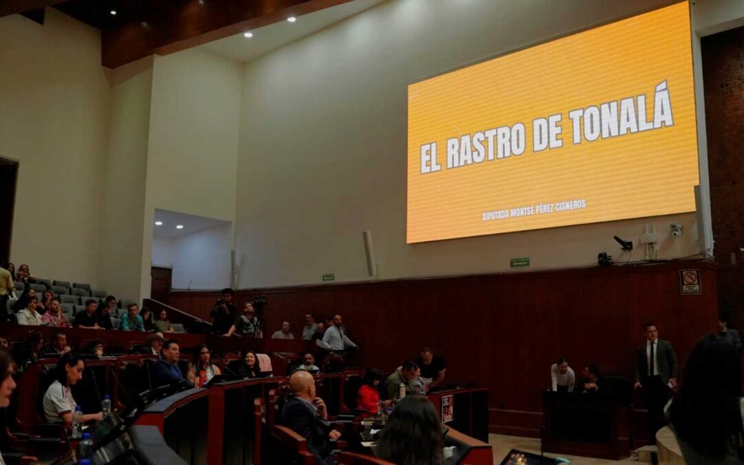Denuncia Montse Pérez corrupción en rastro municipal de Tonalá