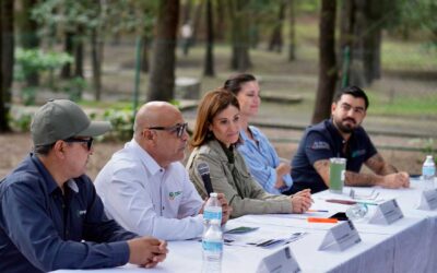 Proyecta Gobierno de Jalisco plantar 211 mil árboles durante Campaña Estatal de Reforestación 2026