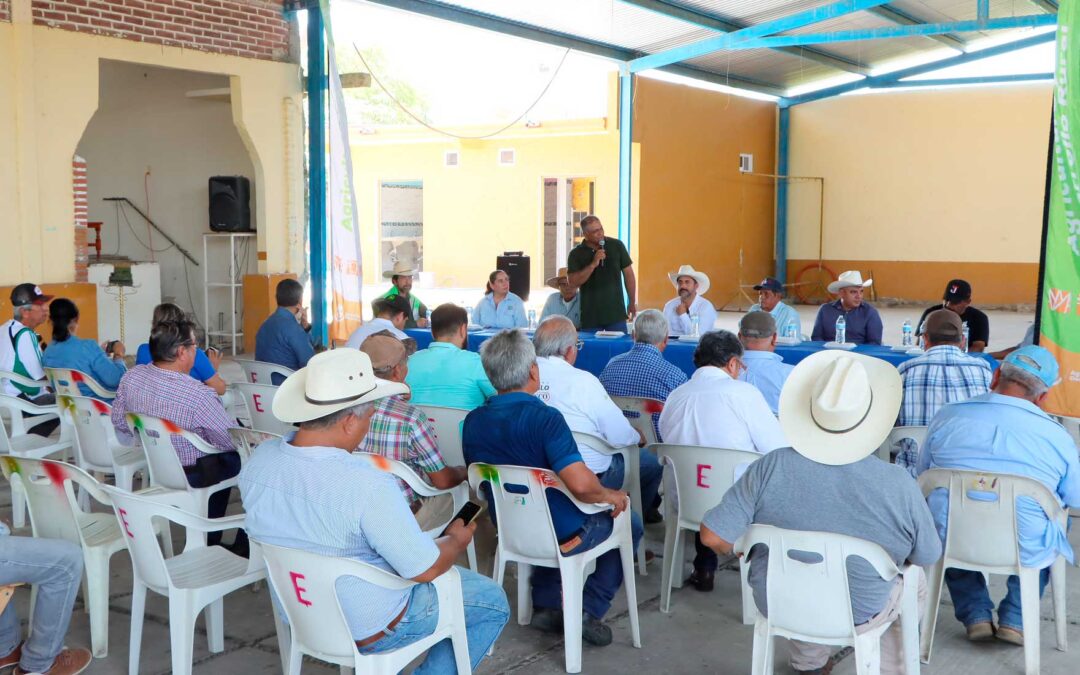 Refuerza Jalisco la sanidad vegetal en la Costa Sur