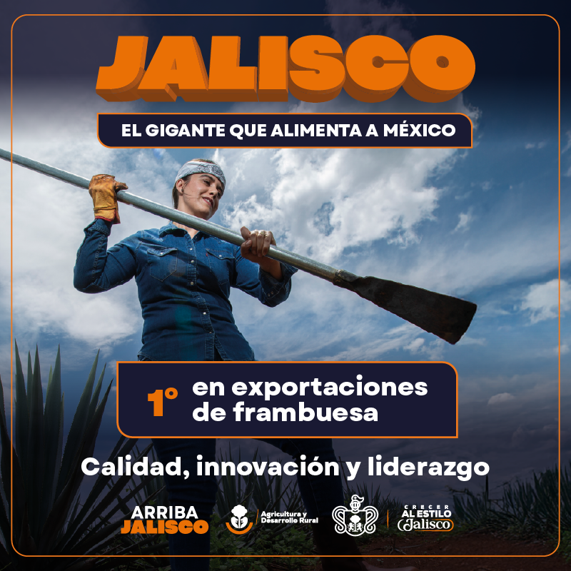 2026.07.14_ARRIBAJALISCO banner (1)_21_800 x 800 px-