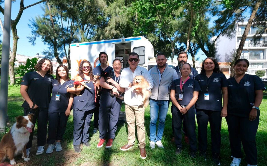 Refuerza Jalisco campaña de vacunación canina y felina