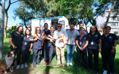 Refuerza Jalisco campaña de vacunación canina y felina