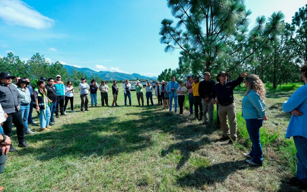 Duplica Gobierno de Jalisco capacidad de producción de planta en Vivero Forestal de FIPRODEFO