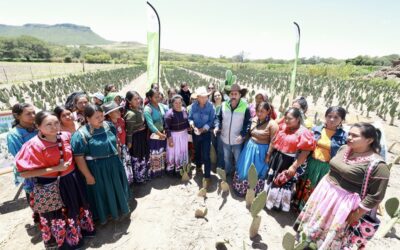 Jalisco entrega nopal forrajero a productores de la Región Norte para fortalecer al sector ganadero