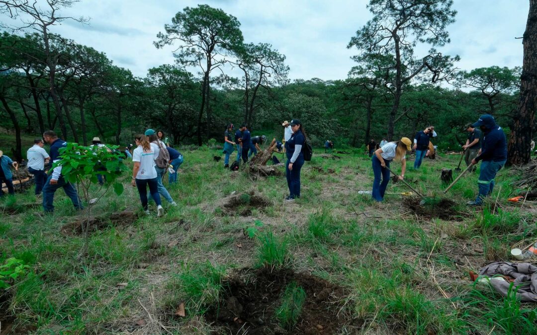 Presentan Estrategia Estatal de Restauración de Ecosistemas 2025-2030
