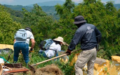 Despliega COBUPEJ acciones de búsqueda generalizada en barranco de Tonalá