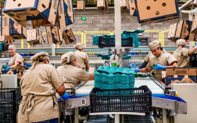 Crecen 25 por ciento nuevas inversiones en Jalisco y se consolida entre los principales destinos de inversión