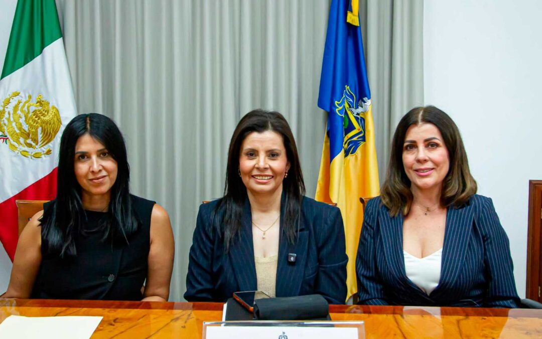 Propone diputada Adriana Medina padrón oficial para regular y transparentar empresas de seguridad privada