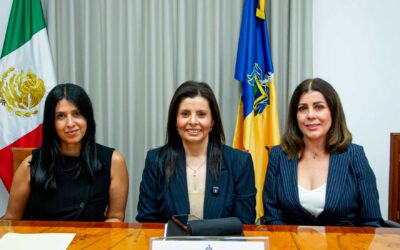 Propone diputada Adriana Medina padrón oficial para regular y transparentar empresas de seguridad privada