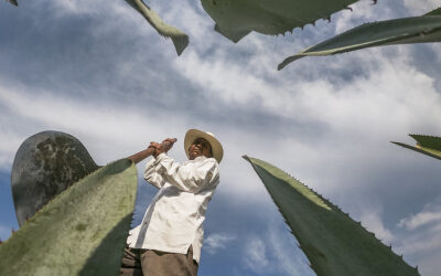 Lanzan distintivo ‘Hecho en Jalisco’ para impulsar productos regionales y abrir nuevos mercados