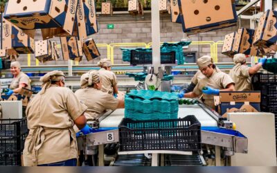 Recupera Jalisco dinamismo económico y crece dos veces más rápido que la economía nacional